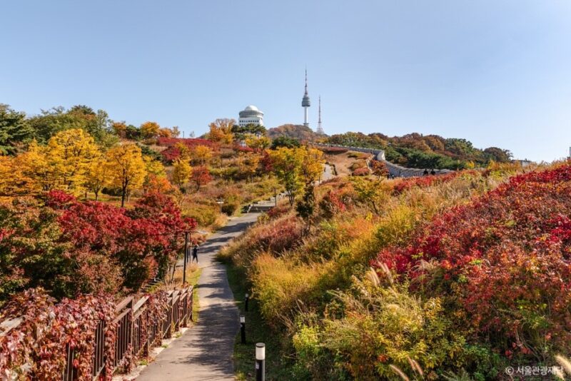 서울 등산, 서울 도심 등산관광센터, 등산 코스 추천, 북한산 코스, 남산 코스