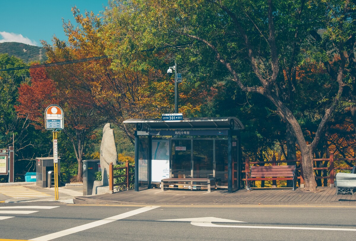 부산 버스 노선, 부산 버스 요금, 부산 버스 개편, 부산 버스 환승 횟수