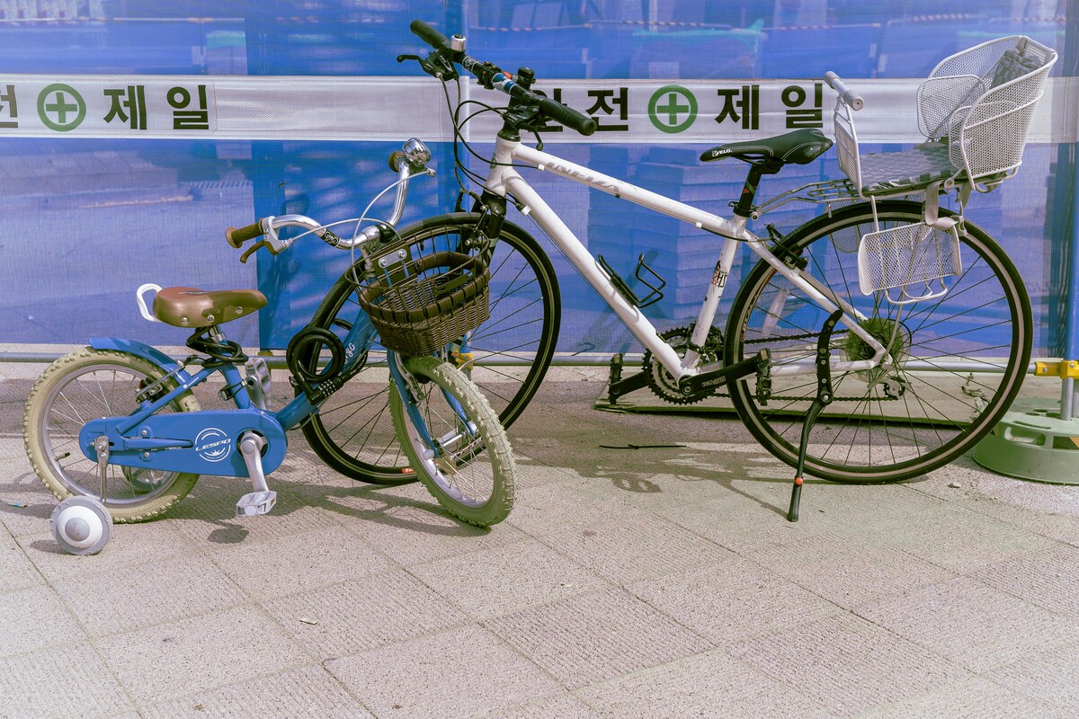 지하철 자전거 탑승, 지하철 자전거 벌금, 접이식 자전거 지하철, 지하철 자전거 칸