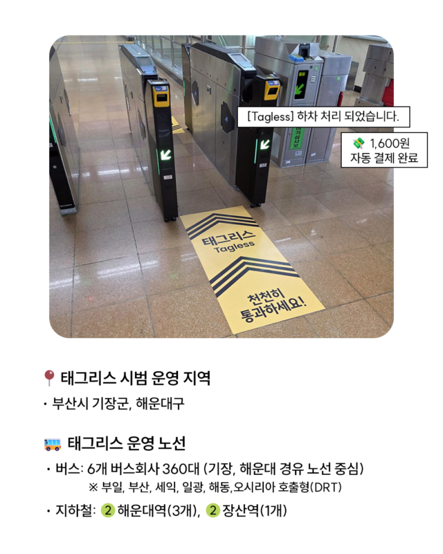 이즐, 마이비, 부산지하철, 부산버스, 태그리스